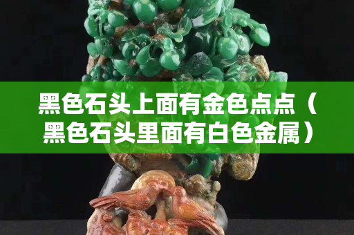 黑色石頭上面有金色點點（黑色石頭里面有白色金屬）