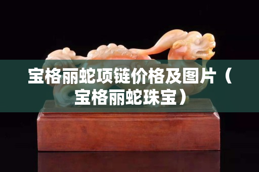 寶格麗蛇項鏈價格及圖片（寶格麗蛇珠寶）