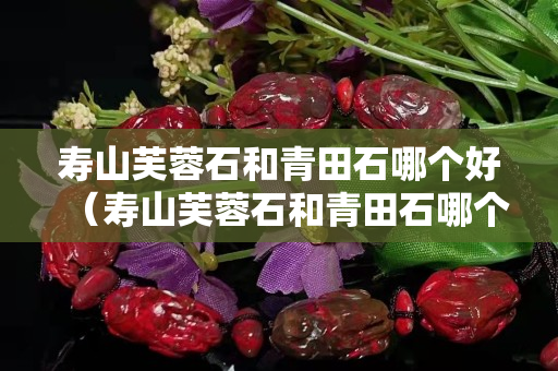 壽山芙蓉石和青田石哪個好（壽山芙蓉石和青田石哪個好一點）