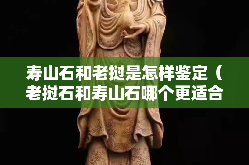 壽山石和老撾是怎樣鑒定（老撾石和壽山石哪個更適合刻章）