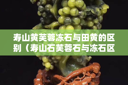 壽山黃芙蓉凍石與田黃的區(qū)別（壽山石芙蓉石與凍石區(qū)別）