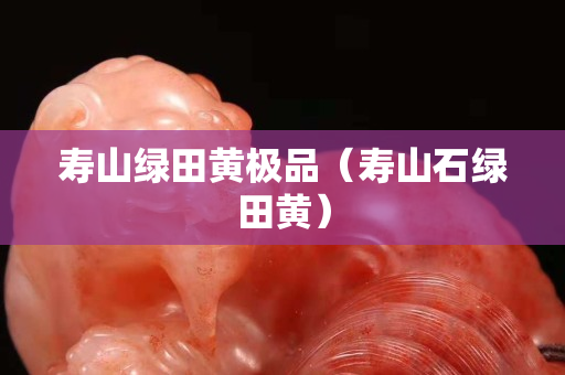 壽山綠田黃極品(壽山石綠田黃) 壽山綠田黃極品(壽山石綠田黃)
