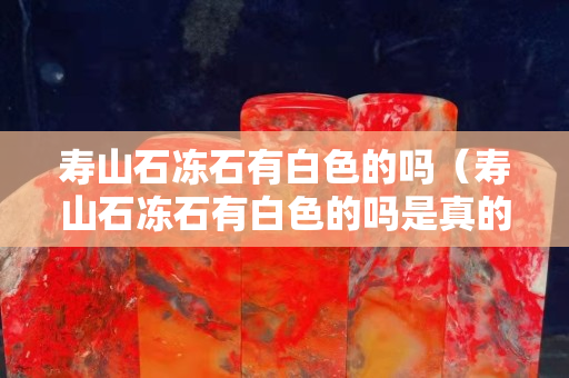 壽山石凍石有白色的嗎（壽山石凍石有白色的嗎是真的嗎）