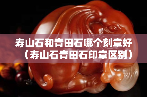 壽山石和青田石哪個刻章好（壽山石青田石印章區(qū)別）