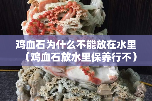 雞血石為什么不能放在水里(雞血石放水里保養(yǎng)行不) 雞血石為什么不能放在水里(雞血石放水里保養(yǎng)行不)