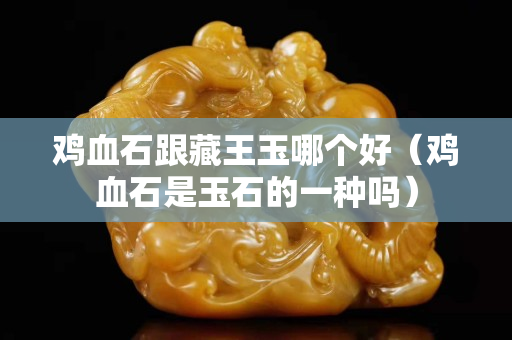 雞血石跟藏王玉哪個(gè)好（雞血石是玉石的一種嗎）