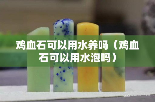 雞血石可以用水養(yǎng)嗎（雞血石可以用水泡嗎）