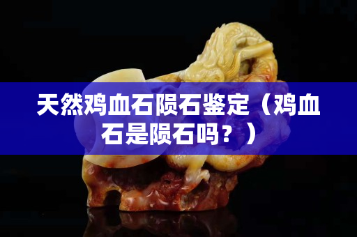 天然雞血石隕石鑒定（雞血石是隕石嗎？）