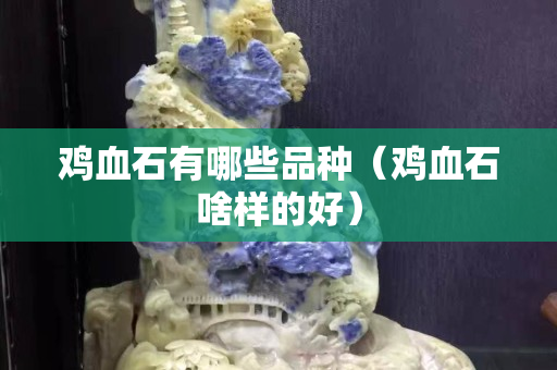 雞血石有哪些品種（雞血石啥樣的好）