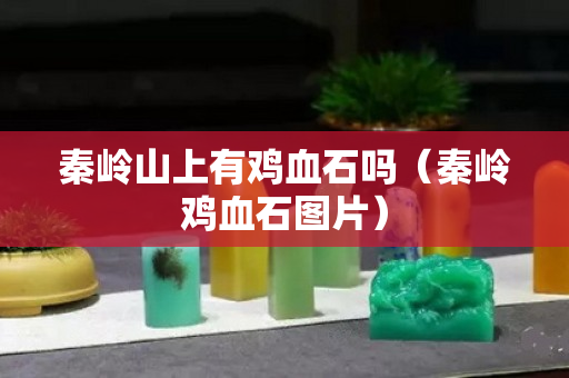 秦嶺山上有雞血石嗎（秦嶺雞血石圖片）