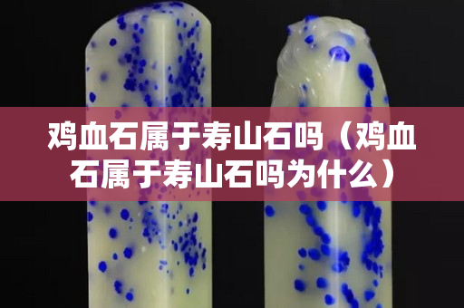 雞血石屬于壽山石嗎（雞血石屬于壽山石嗎為什么）