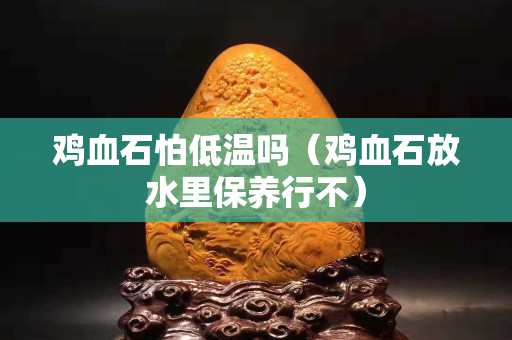 雞血石怕低溫嗎（雞血石放水里保養行不）