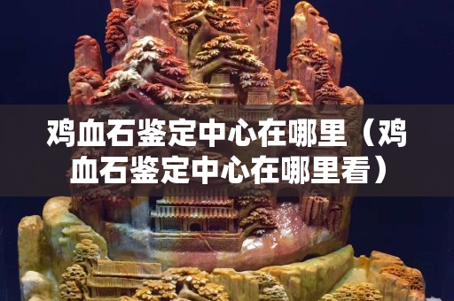 雞血石鑒定中心在哪里（雞血石鑒定中心在哪里看）