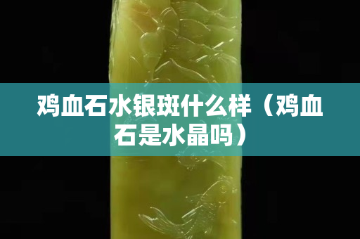 雞血石水銀斑什么樣（雞血石是水晶嗎）