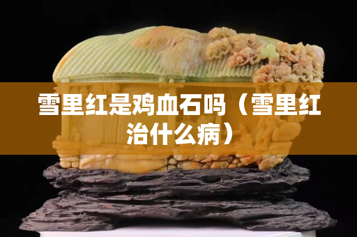 雪里紅是雞血石嗎(雪里紅治什么病) 雪里紅是雞血石嗎(雪里紅治什么病)