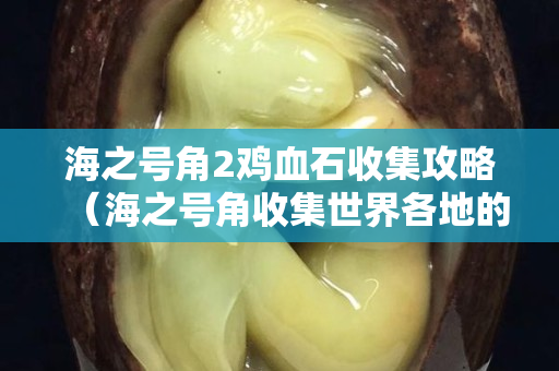 海之號角2雞血石收集攻略（海之號角收集世界各地的雞血石）