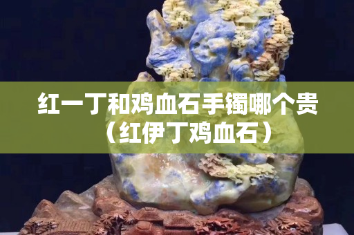 紅一丁和雞血石手鐲哪個貴(紅伊丁雞血石) 紅一丁和雞血石手鐲哪個貴(紅伊丁雞血石)