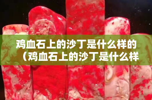 雞血石上的沙丁是什么樣的（雞血石上的沙丁是什么樣的）