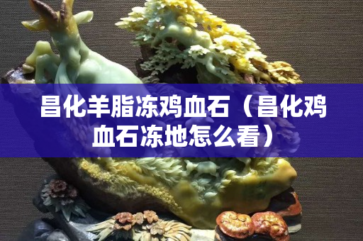 昌化羊脂凍雞血石（昌化雞血石凍地怎么看）