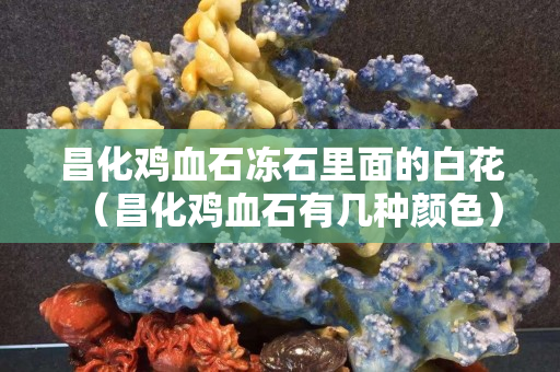 昌化雞血石凍石里面的白花（昌化雞血石有幾種顏色）