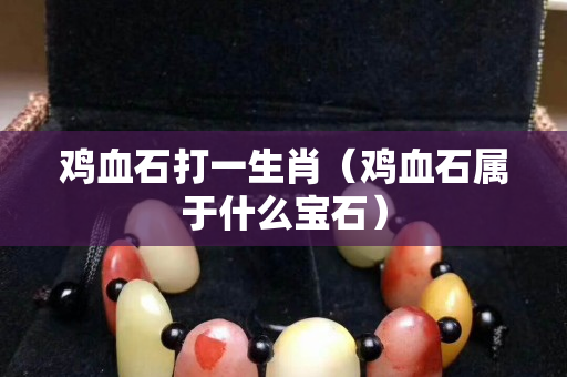 雞血石打一生肖（雞血石屬于什么寶石）