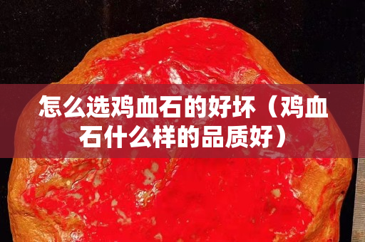 怎么選雞血石的好壞（雞血石什么樣的品質(zhì)好）