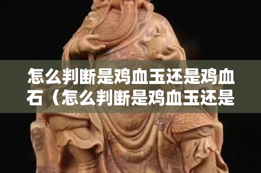 怎么判斷是雞血玉還是雞血石（怎么判斷是雞血玉還是雞血石呢）