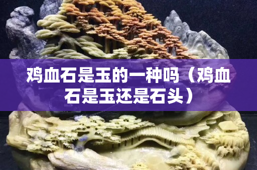 雞血石是玉的一種嗎（雞血石是玉還是石頭）