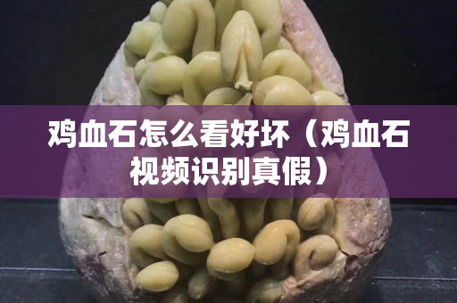 雞血石怎么看好壞(雞血石視頻識(shí)別真假) 雞血石怎么看好壞(雞血石視頻識(shí)別真假)