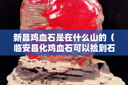新昌雞血石是在什么山的（臨安昌化雞血石可以撿到石頭）