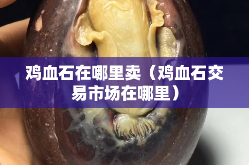 雞血石在哪里賣（雞血石交易市場在哪里）