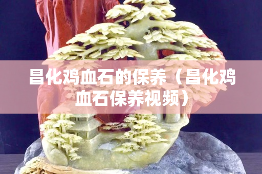 昌化雞血石的保養（昌化雞血石保養視頻）