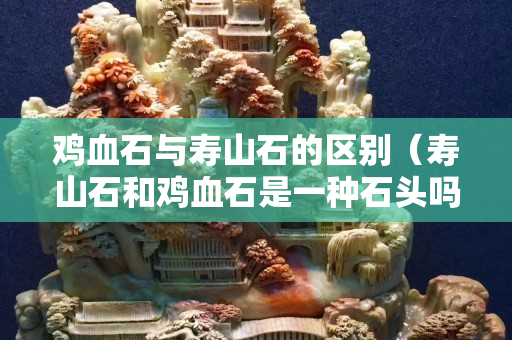 雞血石與壽山石的區別（壽山石和雞血石是一種石頭嗎）