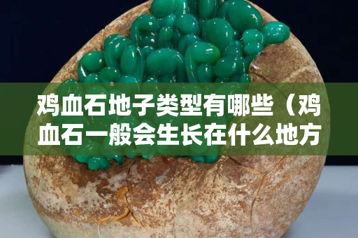 雞血石地子類型有哪些（雞血石一般會生長在什么地方？）