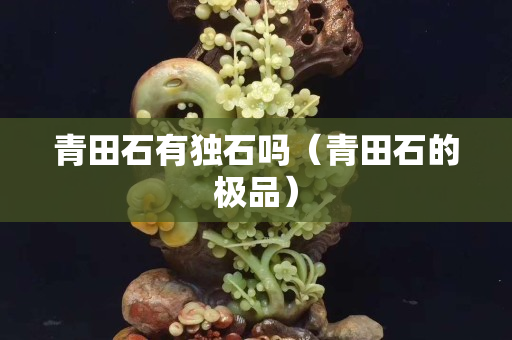 青田石有獨石嗎(青田石的極品) 青田石有獨石嗎(青田石的極品)