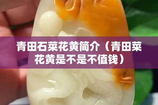 青田石菜花黃簡介（青田菜花黃是不是不值錢）