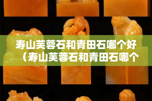 壽山芙蓉石和青田石哪個好（壽山芙蓉石和青田石哪個好一點）