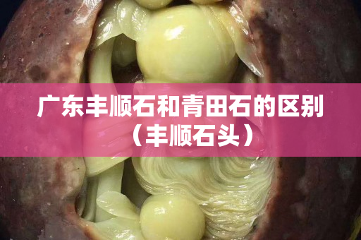 廣東豐順石和青田石的區別（豐順石頭）