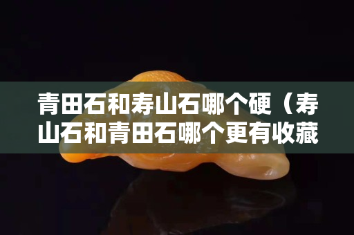 青田石和壽山石哪個硬（壽山石和青田石哪個更有收藏價值）