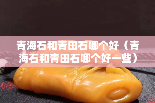 青海石和青田石哪個好(青海石和青田石哪個好一些) 青海石和青田石哪個好(青海石和青田石哪個好一些)