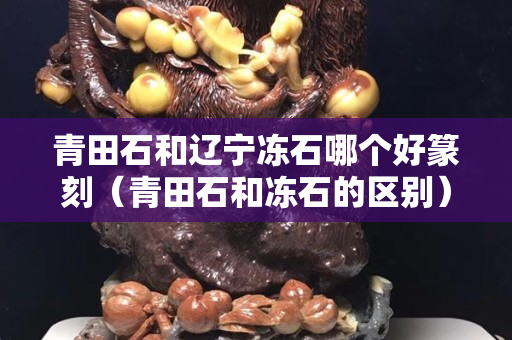 青田石和遼寧凍石哪個好篆刻（青田石和凍石的區別）