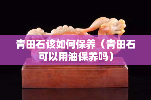 青田石該如何保養(yǎng)（青田石可以用油保養(yǎng)嗎）