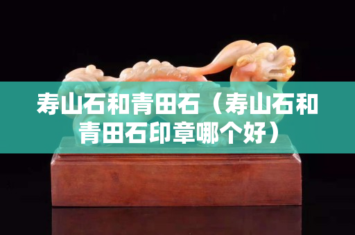 壽山石和青田石(壽山石和青田石印章哪個好) 壽山石和青田石(壽山石和青田石印章哪個好)