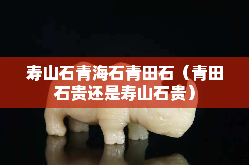 壽山石青海石青田石（青田石貴還是壽山石貴）