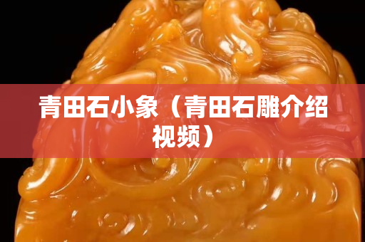 青田石小象(青田石雕介紹視頻) 青田石小象(青田石雕介紹視頻)