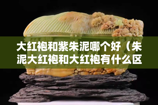 大紅袍和紫朱泥哪個好（朱泥大紅袍和大紅袍有什么區別）