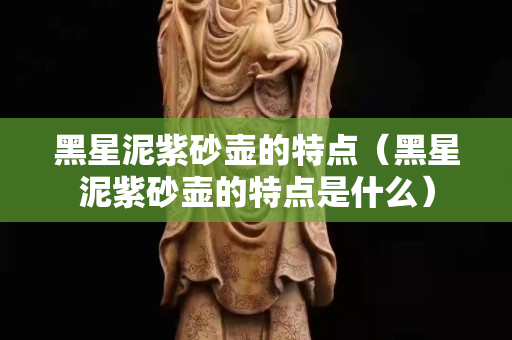 黑星泥紫砂壺的特點（黑星泥紫砂壺的特點是什么）