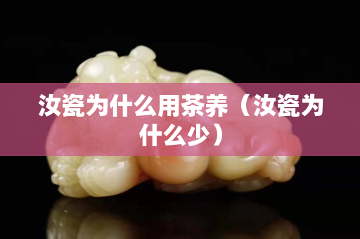 汝瓷為什么用茶養（汝瓷為什么少）