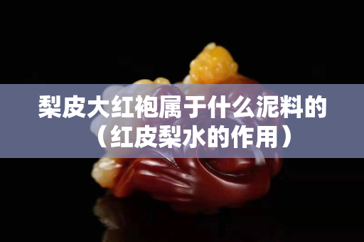 梨皮大紅袍屬于什么泥料的（紅皮梨水的作用）