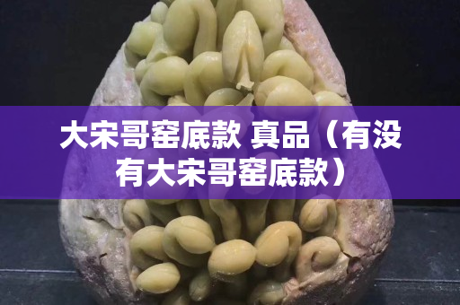 大宋哥窯底款 真品（有沒有大宋哥窯底款）